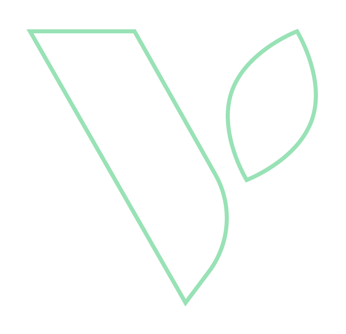 LANZAMIENTO - Proyecto Nueva Tocornal